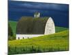 Premium Photographic Print