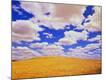 Photographic Print