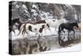 Stretched Canvas Print