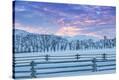 Stretched Canvas Print