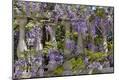 Premium Photographic Print