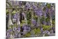 Premium Photographic Print