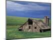 Photographic Print