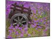 Premium Photographic Print