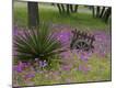 Premium Photographic Print