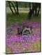 Premium Photographic Print