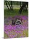 Premium Photographic Print