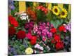 Premium Photographic Print