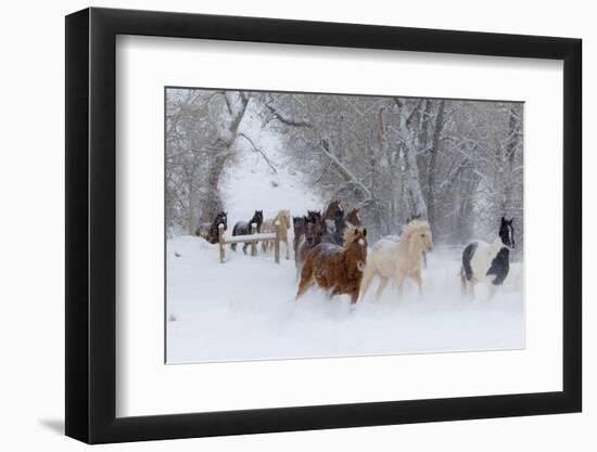 Photographic Print, , large