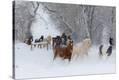 Stretched Canvas Print