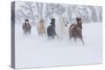 Stretched Canvas Print