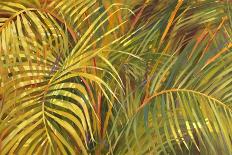 Tropical Light-Darrell Hill-Giclee Print