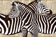Zebra Gathering-Darren Davison-Framed Stretched Canvas