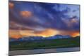 Photographic Print