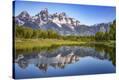 Stretched Canvas Print