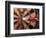 Dart in Bull's Eye on Dart Board-John James Wood-Framed Photographic Print