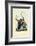 Darter, 1863-79-Raimundo Petraroja-Framed Giclee Print