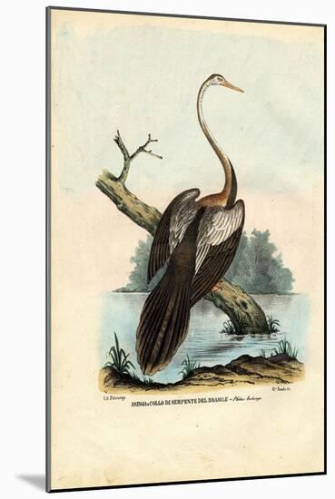 Darter, 1863-79-Raimundo Petraroja-Mounted Giclee Print