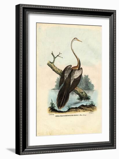 Darter, 1863-79-Raimundo Petraroja-Framed Giclee Print