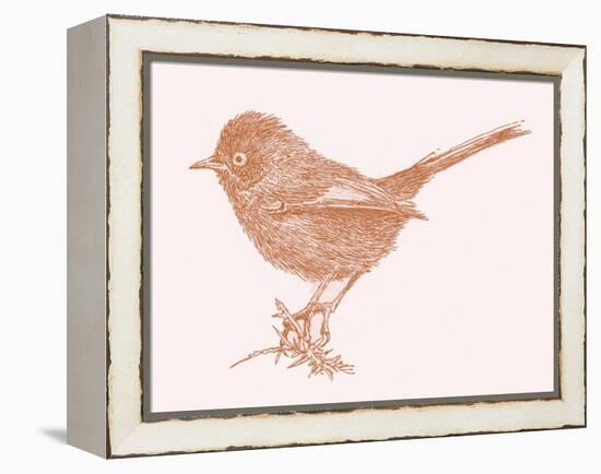 Dartford Warbler  2017  (digital)-Sarah Hough-Framed Premier Image Canvas