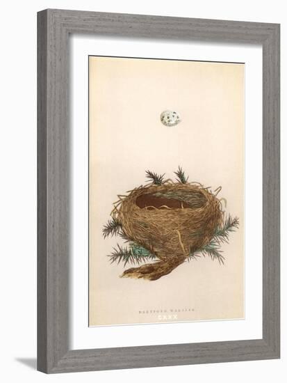 Dartford Warbler Egg and Nest-null-Framed Art Print