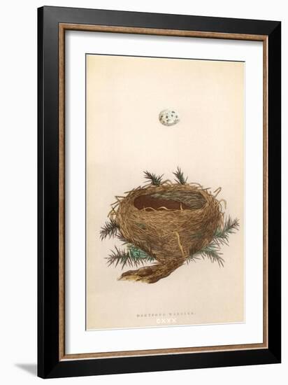 Dartford Warbler Egg and Nest-null-Framed Art Print