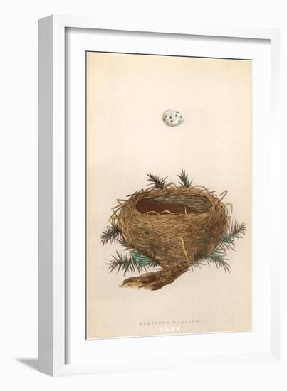 Dartford Warbler Egg and Nest-null-Framed Art Print