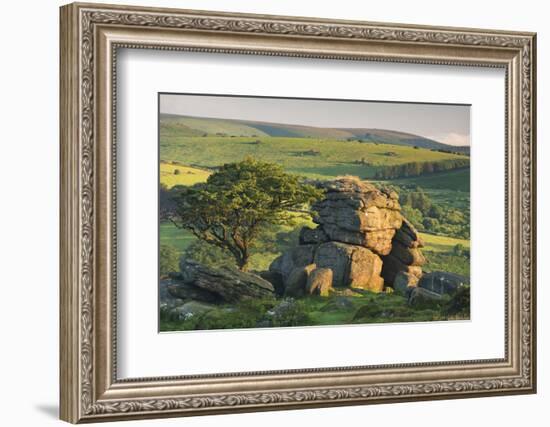 Dartmoor Moorland and Countryside in Summer Time, Saddle Tor, Dartmoor, Devon, England. July-Adam Burton-Framed Photographic Print