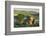 Dartmoor Moorland and Countryside in Summer Time, Saddle Tor, Dartmoor, Devon, England. July-Adam Burton-Framed Photographic Print