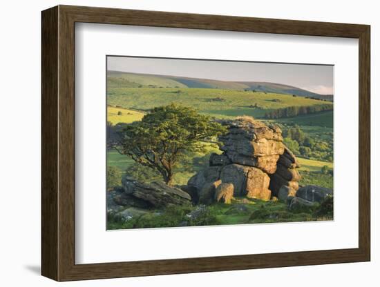 Dartmoor Moorland and Countryside in Summer Time, Saddle Tor, Dartmoor, Devon, England. July-Adam Burton-Framed Photographic Print