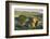 Dartmoor Moorland and Countryside in Summer Time, Saddle Tor, Dartmoor, Devon, England. July-Adam Burton-Framed Photographic Print