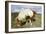 Dartmoor Pony, Dartmoor, Devon-Peter Thompson-Framed Photographic Print