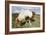 Dartmoor Pony, Dartmoor, Devon-Peter Thompson-Framed Photographic Print