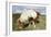 Dartmoor Pony, Dartmoor, Devon-Peter Thompson-Framed Photographic Print