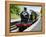 Dartmouth and Paignton Railway, Kingswear Station, Dartmouth, Devon, England, United Kingdom, Europ-David Hughes-Framed Premier Image Canvas