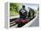 Dartmouth and Paignton Railway, Kingswear Station, Dartmouth, Devon, England, United Kingdom, Europ-David Hughes-Framed Premier Image Canvas