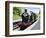 Dartmouth and Paignton Railway, Kingswear Station, Dartmouth, Devon, England, United Kingdom, Europ-David Hughes-Framed Photographic Print