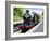 Dartmouth and Paignton Railway, Kingswear Station, Dartmouth, Devon, England, United Kingdom, Europ-David Hughes-Framed Photographic Print