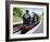 Dartmouth and Paignton Railway, Kingswear Station, Dartmouth, Devon, England, United Kingdom, Europ-David Hughes-Framed Photographic Print