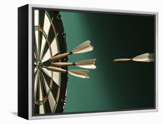 Darts and Target-null-Framed Premier Image Canvas