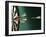 Darts and Target-null-Framed Photographic Print