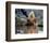 Daryl Hannah - The Clan of the Cave Bear-null-Framed Photo