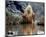 Daryl Hannah - The Clan of the Cave Bear-null-Mounted Photo