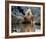 Daryl Hannah - The Clan of the Cave Bear-null-Framed Photo