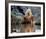 Daryl Hannah - The Clan of the Cave Bear-null-Framed Photo