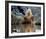 Daryl Hannah - The Clan of the Cave Bear-null-Framed Photo