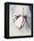 Daryl Hannah - The Clan of the Cave Bear-null-Framed Stretched Canvas