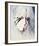 Daryl Hannah - The Clan of the Cave Bear-null-Framed Photo