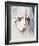 Daryl Hannah - The Clan of the Cave Bear-null-Framed Photo