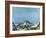 Das Breithorn-Ferdinand Hodler-Framed Giclee Print